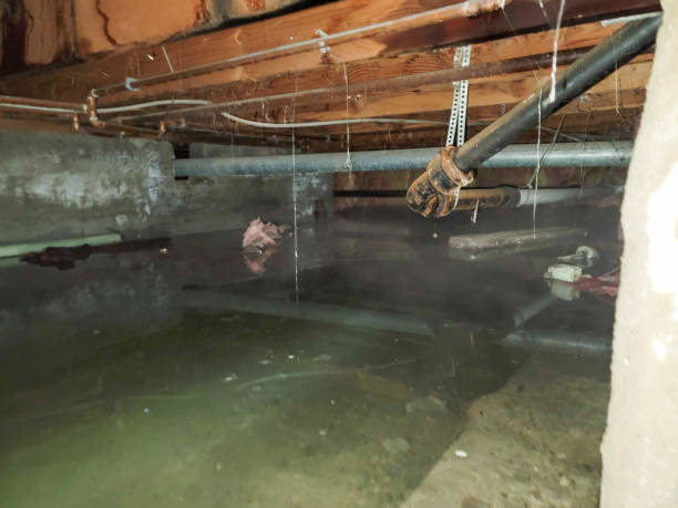 Best Water damage repair service  in Hudson, PA