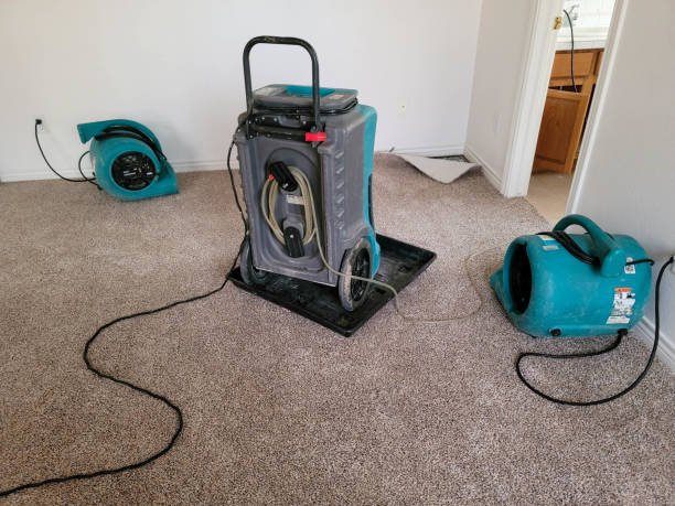Best Local water damage restoration  in Hudson, PA