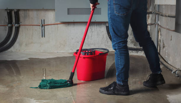 Best Water damage contractors near me  in Hudson, PA